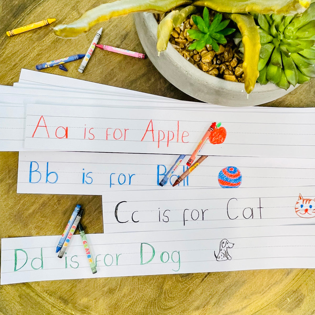 Reskid ruled sentence strips, 3 x 24 inch, with alphabet practice