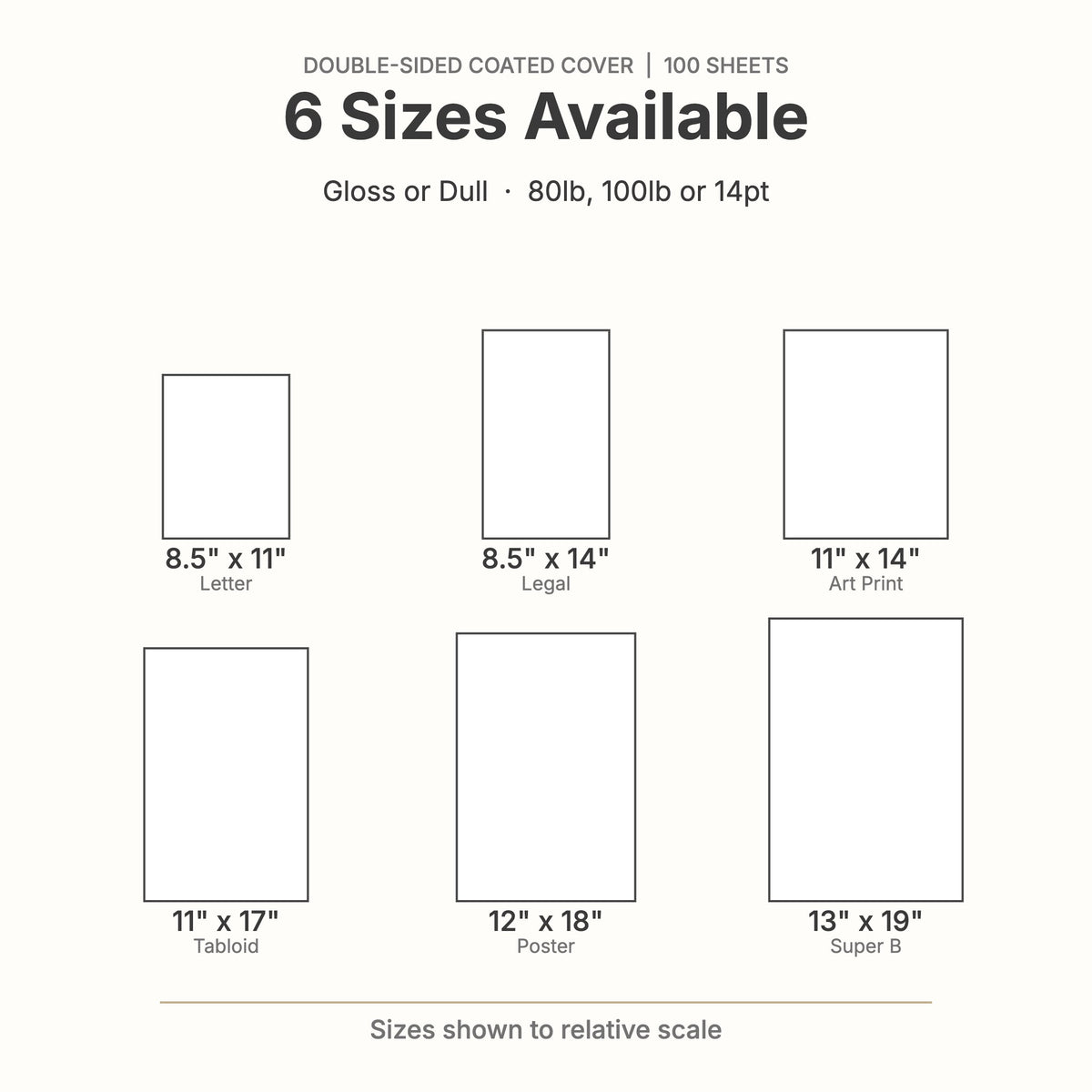 Coated C2S cardstock size chart: 8.5x11, 8.5x14, 11x14, 11x17, 12x18 and 13x19 inches