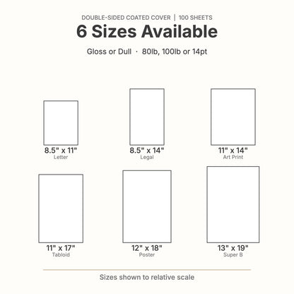 Coated C2S cardstock size chart: 8.5x11, 8.5x14, 11x14, 11x17, 12x18 and 13x19 inches